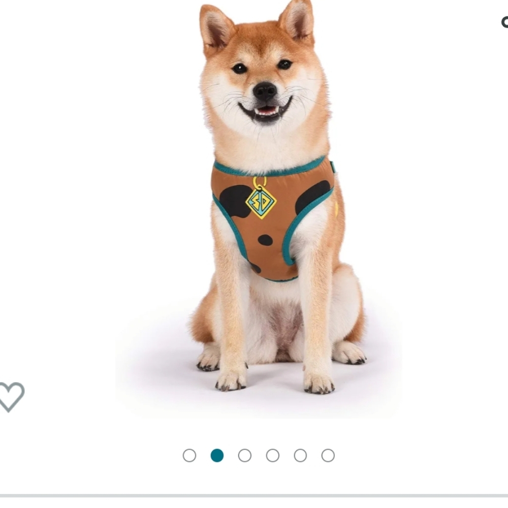 Scooby Doo dog harness
